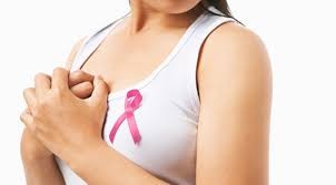 Un descubrimiento del Conicet sobre el cáncer de mama fue distinguido por una revista internacional | Actualidad