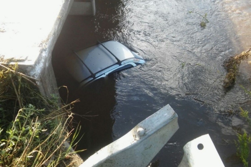 Intentó esquivar a un carpincho en la ruta y terminó con el auto en un arroyo | Actualidad