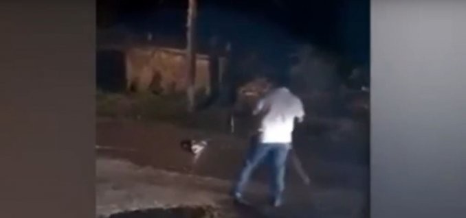 Video terrible: un cocodrilo se come un perro en México | Curiosidades