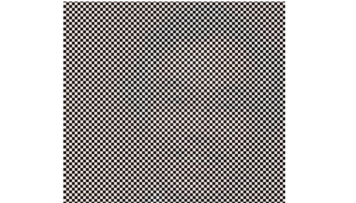 Reto viral: ¿podés ver la cara oculta en la imagen? | Redes