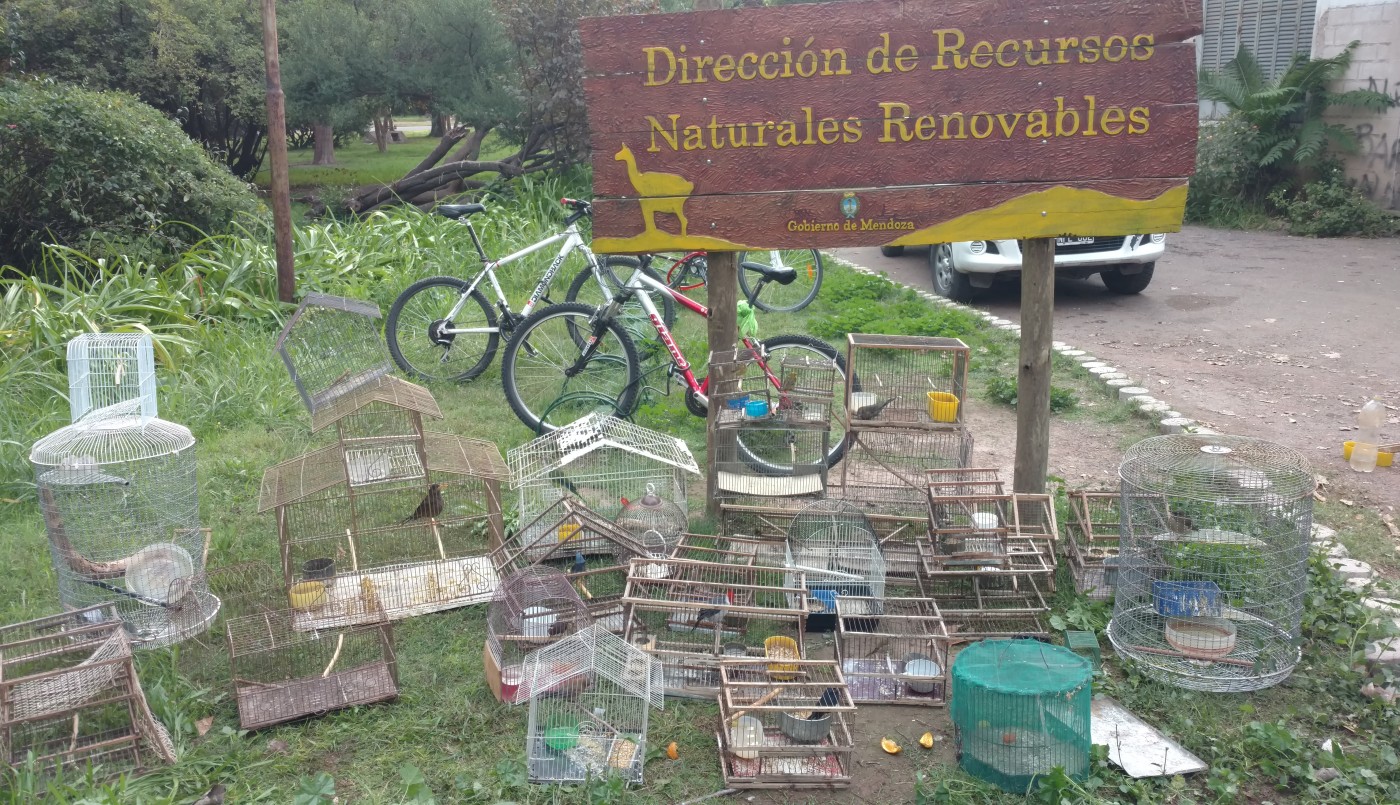 Desbarataron banda que comercializaban animales silvestres a través de una red social | Actualidad