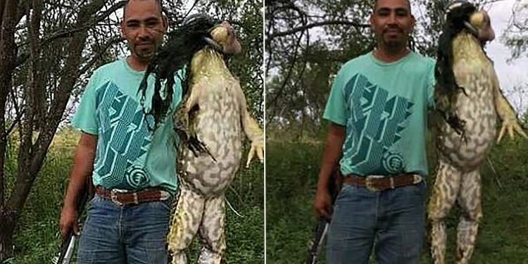 Un "trofeo" de caza genera indignación e incredulidad | Redes