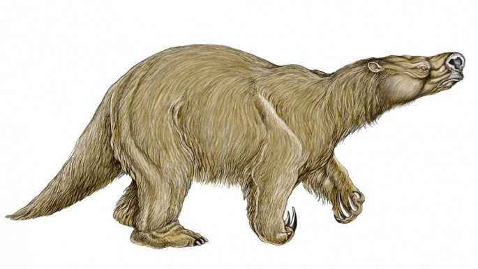 San Pedro: hallaron restos fósiles de una especie desconocida de perezoso | Actualidad