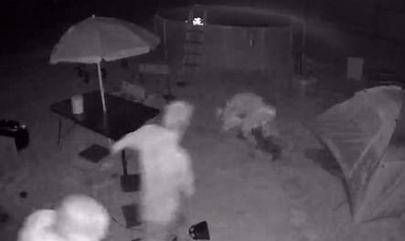 Video: un padre "cazó" a un pederasta que había citado e intentaba abusar a su hija | Internacionales