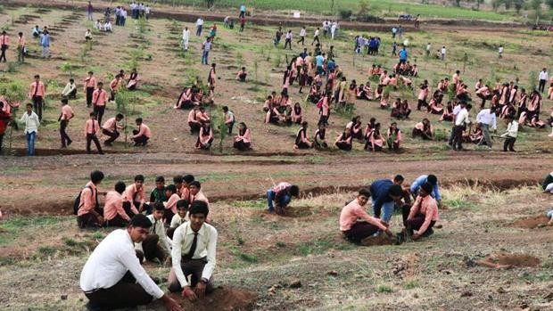 India: el increíble récord de plantar 66 millones de árboles en 12 horas | Internacionales