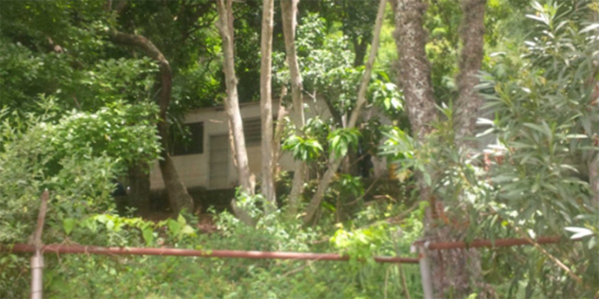 Torturaron y asesinaron a una profesora argentina en Venezuela | Internacionales