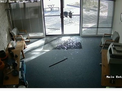 #EsViral un vándalo con cuernos quiso entrar a las oficinas | Redes