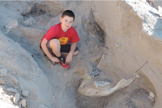 Un nene de 10 años se tropezó y descubrió un fósil de más de un millón de años | Internacionales