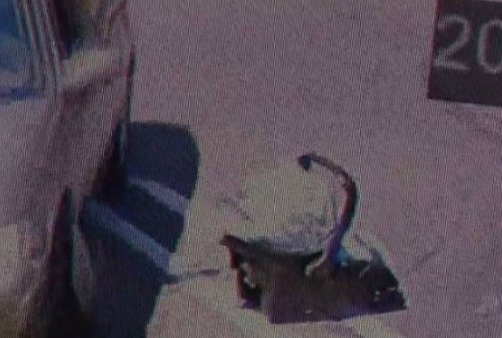 El video que indigna: un padre abandona a su hijo bebé en el estacionamiento de un shopping | Internacionales