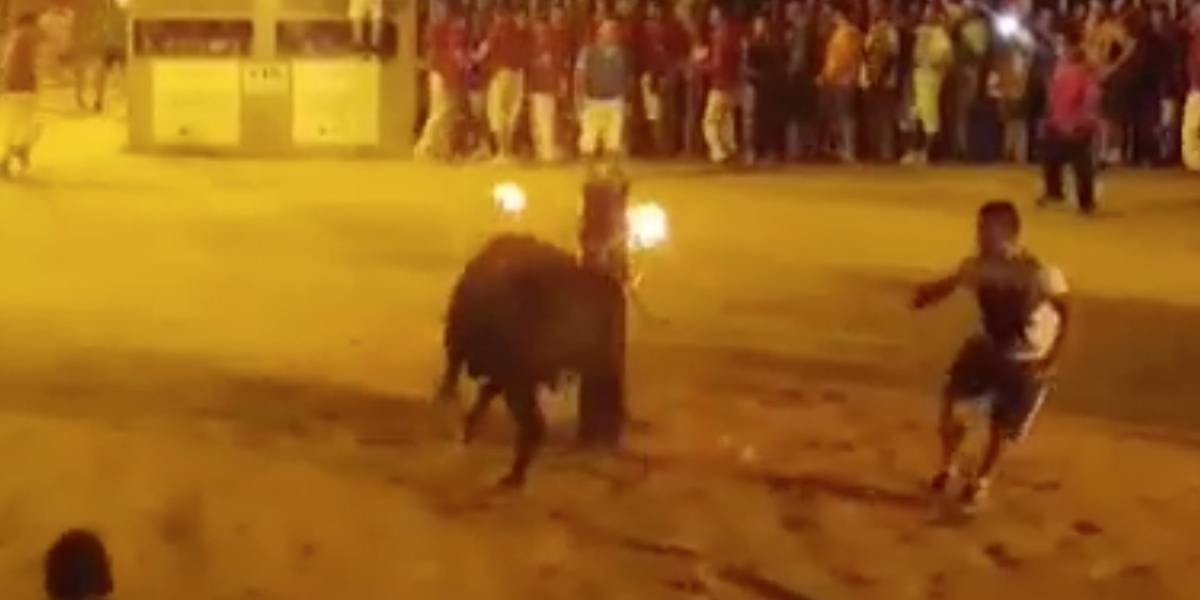 Video de alto impacto: el "suicidio" de un toro con fuego en sus cuernos | Curiosidades