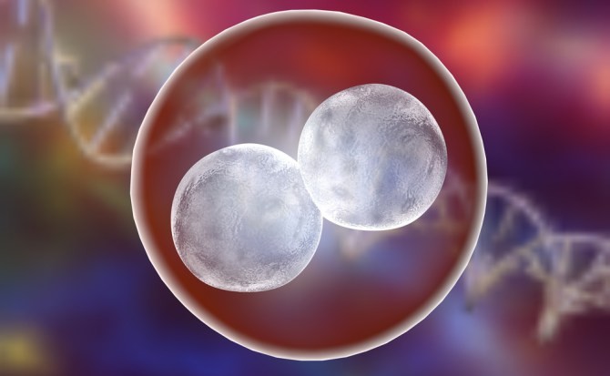 Estados Unidos: aplicaron por primera vez la edición genética en embriones humanos | Internacionales