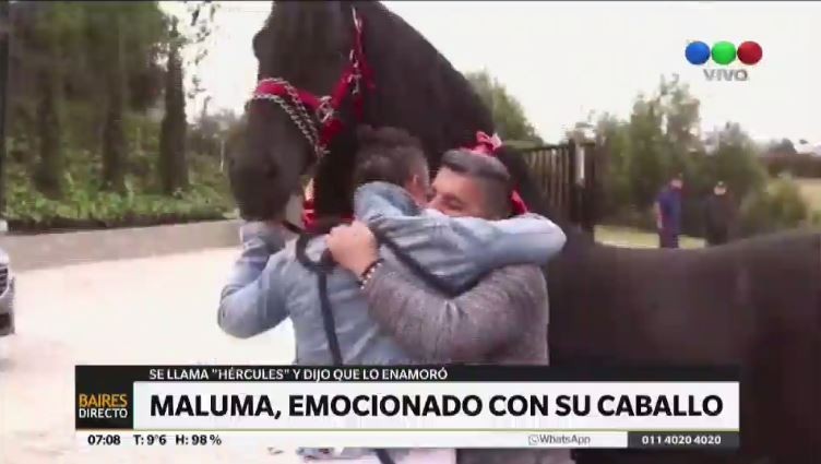 Maluma se emocionó al conocer a su caballo Hércules | Espectáculos