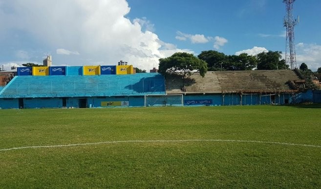 Paraguay: el club de fútbol que sumará a un árbol como socio | Deportes