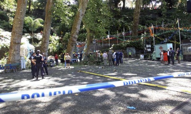Tragedia Portugal: se cayó un árbol y mató a trece personas | Internacionales