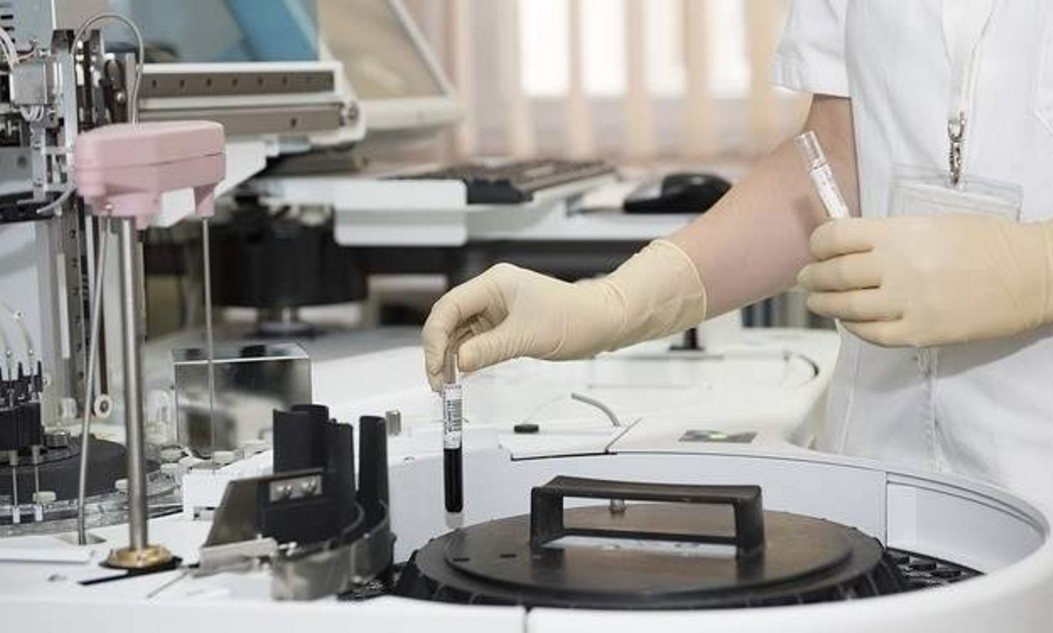 Científicos canadienses desarrollaron un parche inyectable para reparar órganos dañados | Actualidad
