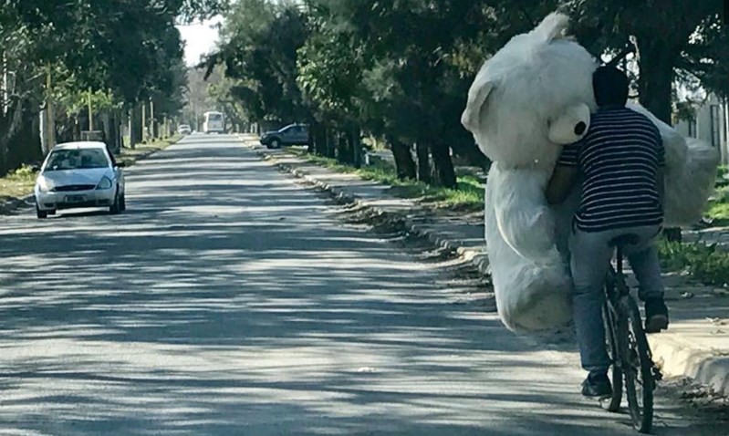 Llevó un oso de peluche gigante en bicicleta y la foto de viralizó en las redes | Redes