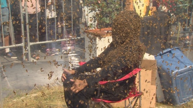 Video: pasó 61 minutos con la cara cubierta de abejas y rompió el rércod Guinness | Curiosidades