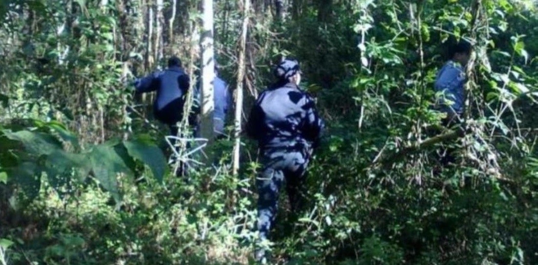 Hallaron en la selva brasileña a dos nenes de Misiones: buscan al tío por secuestro | Actualidad