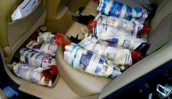 Huracán Irma: evacuaron hasta las gallinas y la foto se viralizó en las redes | Internacionales