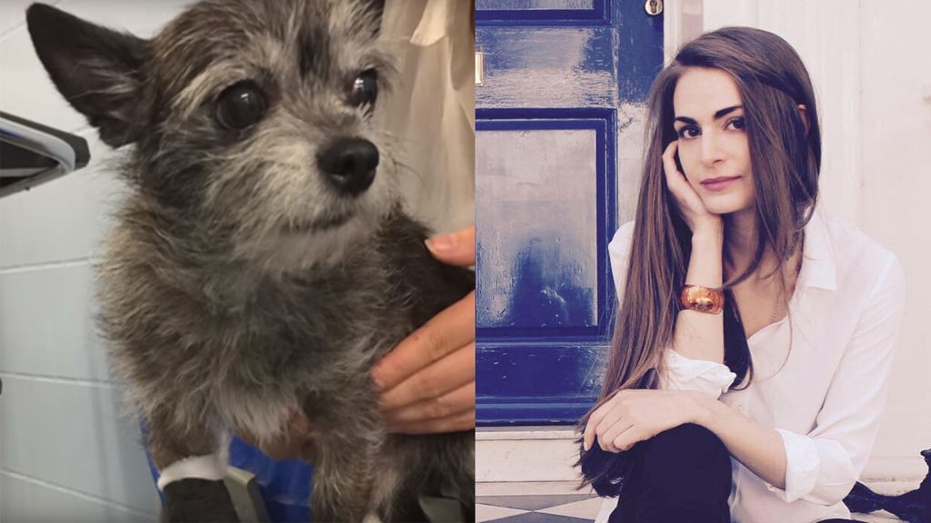 La joven que vende todo lo que tiene para poder operar a su perro | Curiosidades