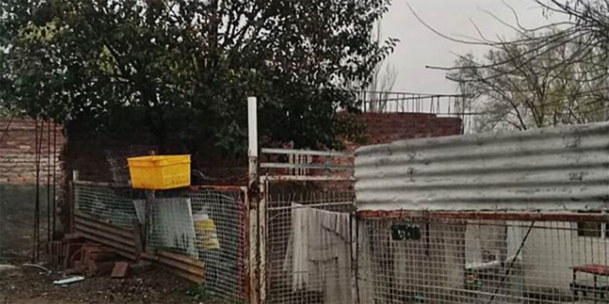 Una mujer pateó en la cabeza a su bebé de dos meses "porque no paraba de llorar" | Actualidad