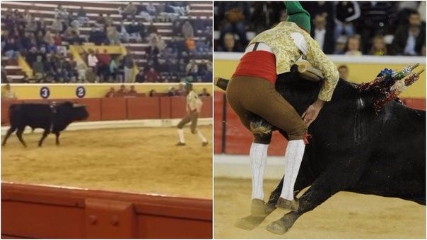 Videos: el torero lo provocó y el animal lo mató de una cornada | Internacionales