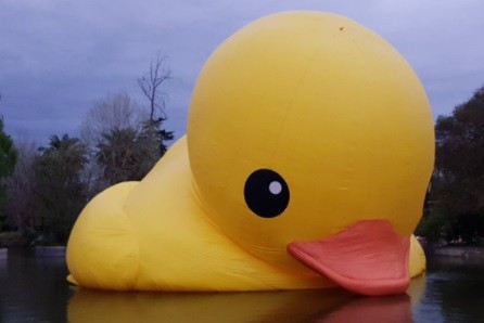 Chile: se desinfló el pato de hule más grande del mundo | Curiosidades