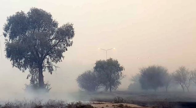 Incendios en San Luis: controlaron siete focos y la lluvia generó alivio | Actualidad
