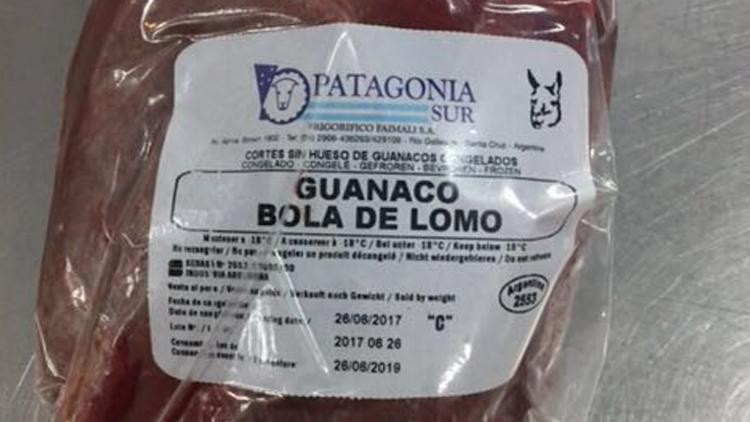 Prueba piloto: autorizan la venta de carne de guanaco | Actualidad