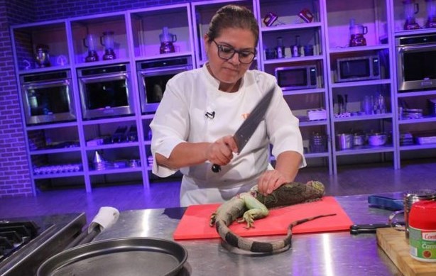 Escándalo en un programa de TV: mataron y cocinaron en vivo a varias iguanas en peligro de extinción | Redes