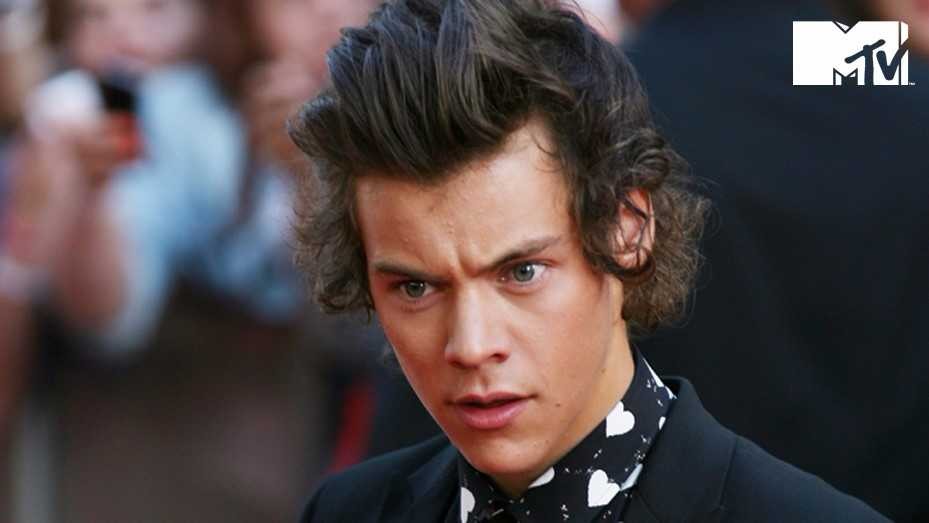 Harry Styles fue víctima de acoso sexual durante un show | MTV News