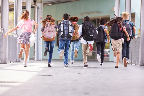 Condenaron al vecino de una escuela por exhibir los genitales desde su patio | Actualidad