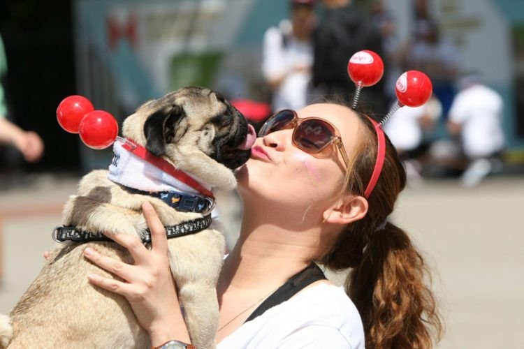 Más personas prefieren salvar a un perro antes que a una nene | Internacionales