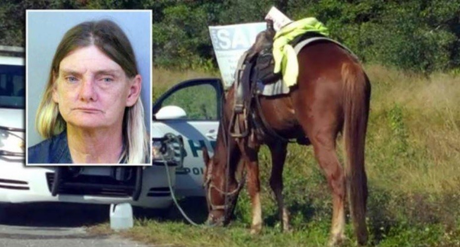 Detienen a una mujer que conducía borracha... ¡un caballo! | Curiosidades