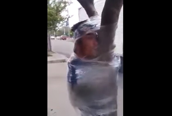 Video: vecinos atraparon a un ladrón y lo ataron a un árbol con plástico | Internacionales