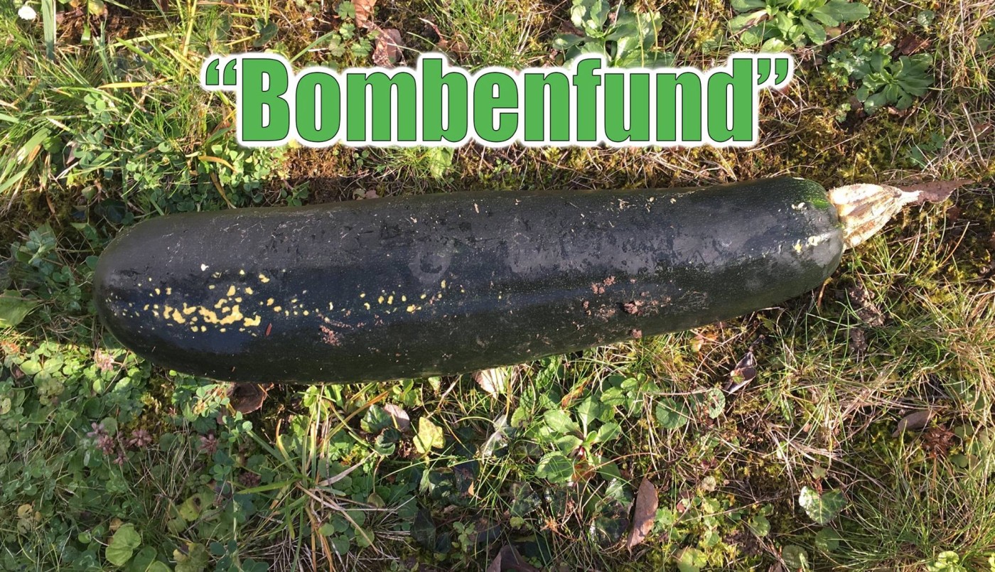 Creyó encontrar una bomba en su jardín y la Policía se lo tomó con gracia | Curiosidades