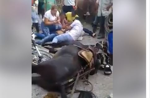 Indignación en las redes: nadie atiende a un caballo con las patas fracturadas | Redes