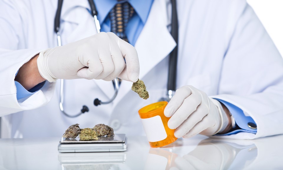 Proyecto para que El Bolsón se convierta en "capital del cannabis medicinal" | Actualidad