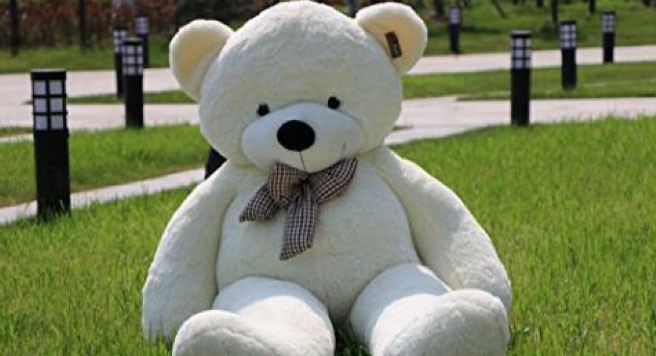 El oso de peluche gigante que se volvió viral por una extraña razón | Redes