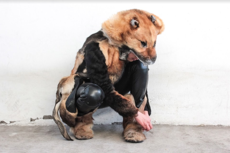 Polémica por una diseñadora mexicana crea ropa con piel de perro | Redes