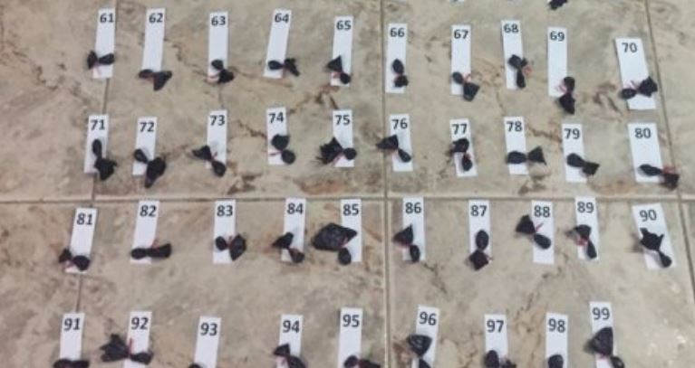 Santa Fe: cayó una banda narco dirigida desde la cárcel de Coronda | Actualidad