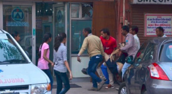 Un turista argentino murió al ser atacado por un toro en India | Internacionales