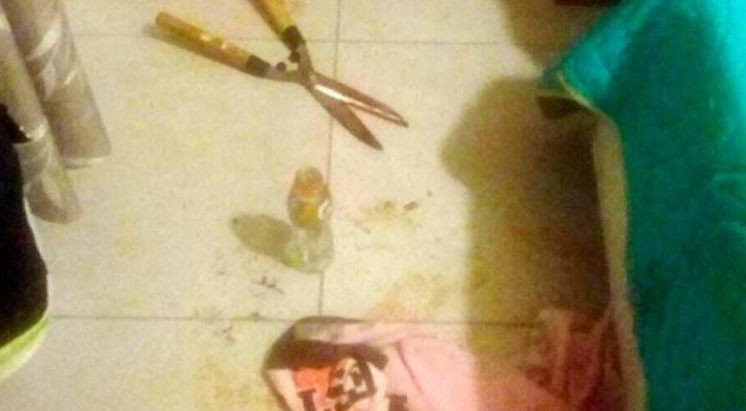 "No sé qué corté", dijo la chica que le cortó el pene a un hombre | Actualidad