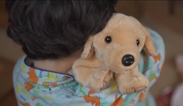 Emocionante video enseña por qué una mascota no es un regalo de Navidad | Actualidad