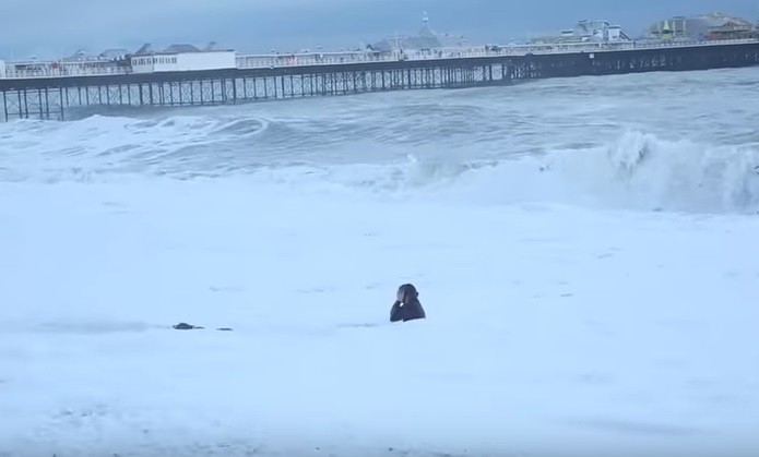 Mujer se tiró al agua para salvar a su perro cuando se lo llevaba la marea | Redes