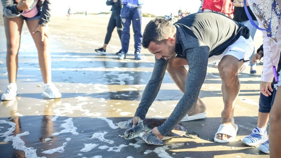 Carlitos Tevez, de vacaciones: ayudó a una tortuga marina a volver al mar | Deportes