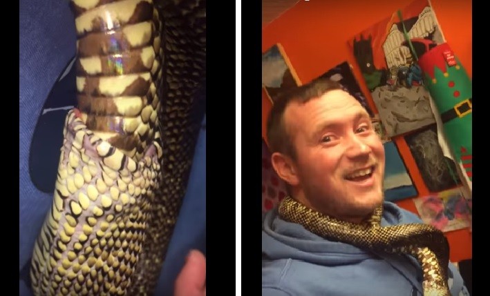 Polémica tras el video de una serpiente que se come a sí misma | Redes