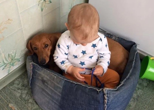 Un niño de dos años murió al caerle encima un suicida | Internacionales