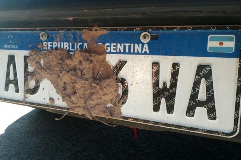 Brasil: multaron a un turista argentino por tapar con barro la patente de su camioneta | Actualidad
