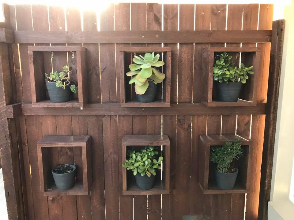 Nuevo desafío viral: ¿podés ver a la serpiente de casi dos metros escondida en la foto? | Redes